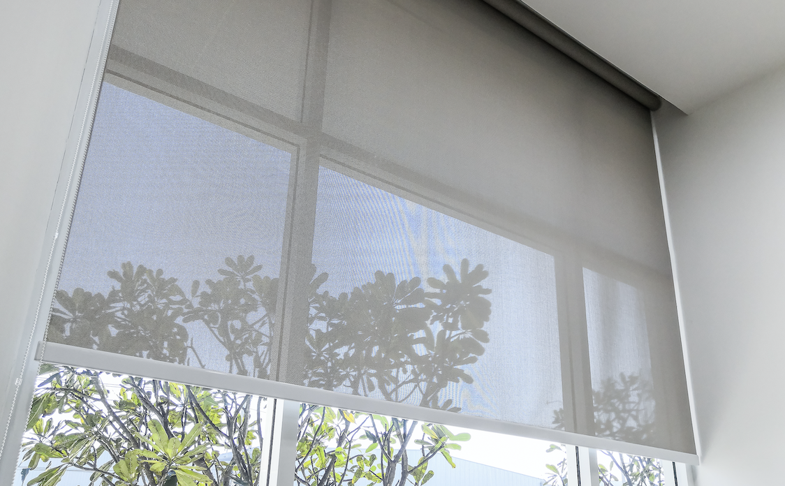 Window covering with a tree outside in the background.